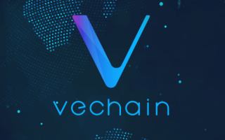 Криптовалюта – VeChain