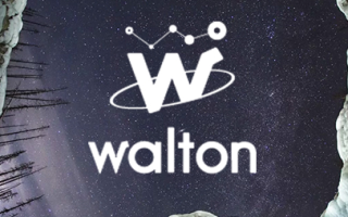 Криптовалюта – Walton