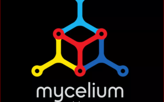 Кошелек Mycelium — обзор